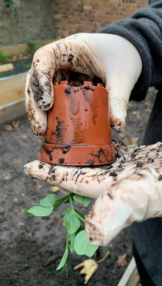 Environmental Studies