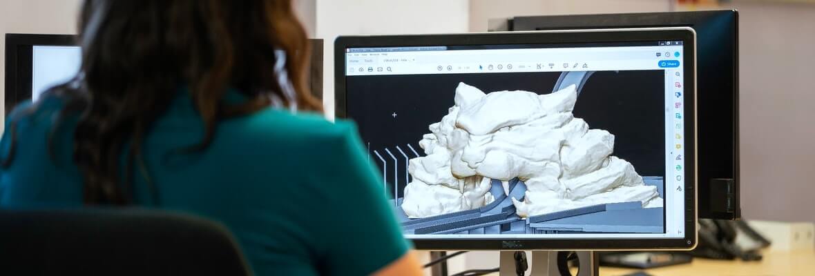 Design and Technology